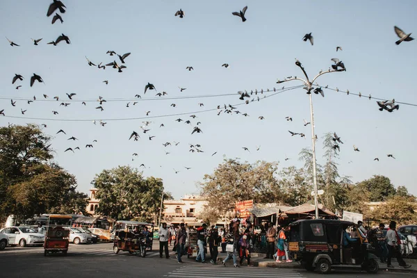 Люди Гуляющие Дели Летающие Птицы — стоковое фото