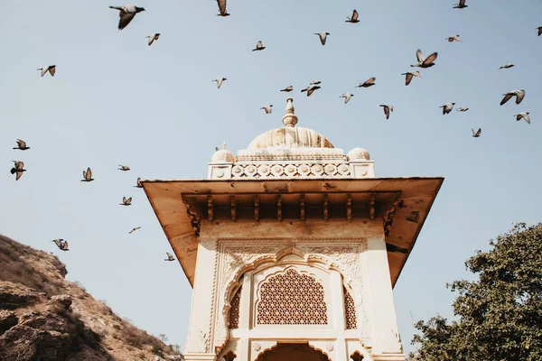 Jama Masjid Delhi Les Oiseaux Volant Sur Fond Ciel Bleu — Photo