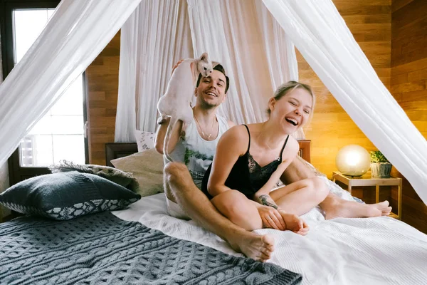 Evde güzel çift birlikte. Güzel kadın ve çekici adam bir yatak üzerinde oturan ve bir kedi ile oynarken ev Giyim Giyim Eşyası.