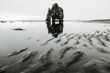 Kuzeybatı İzlanda. Hvitserkur - devasa bir mamut şeklinde bazalt kaya. Aşırı kuzey turizmi kavramı