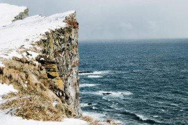 Kışın karlı Latrabjarg kayalıklarla çarpıcı. Batı Fjords, İzlanda