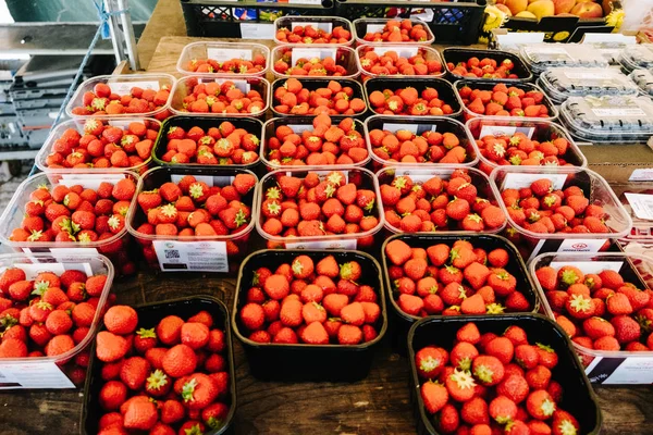 Fresh Strawberries Background Fresh Fruits Stock Picture