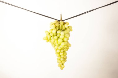 Beyaz arkaplanda üzümler