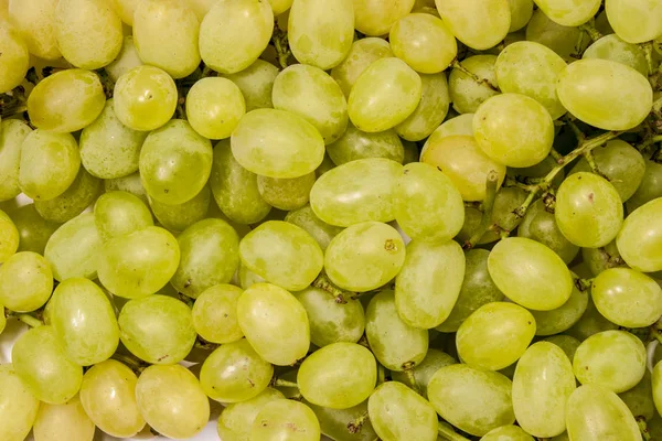 Muchas bayas de uvas blancas — Foto de Stock