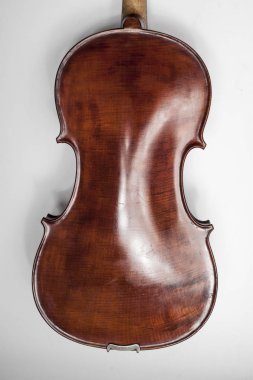 Beyaz arkaplanda keman