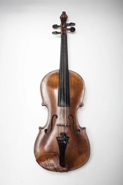 Violin on a white background — Stock Photo, Image