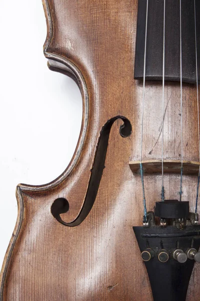 Violino sobre um fundo branco — Fotografia de Stock