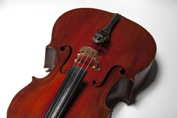 Cello auf weißem Hintergrund — Stockfoto