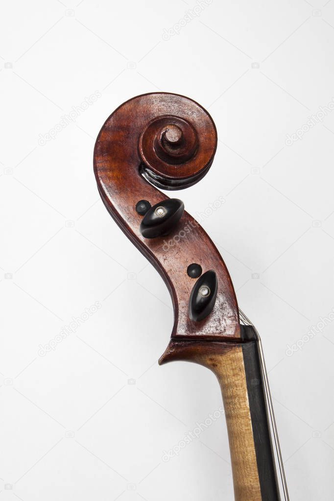 Violin on a white background. Grief violin on a white background