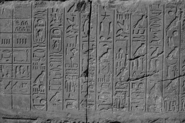 Doku Mısır. Mısır'daki güzel doku. Dokusu