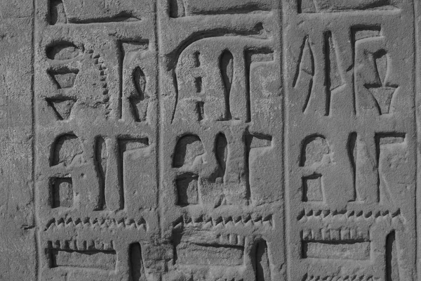 Textura de Egipto. Hermosa textura en Egipto. La textura de la — Foto de Stock