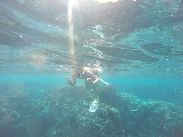 Beautiful girl. Girl under the water of the red sea