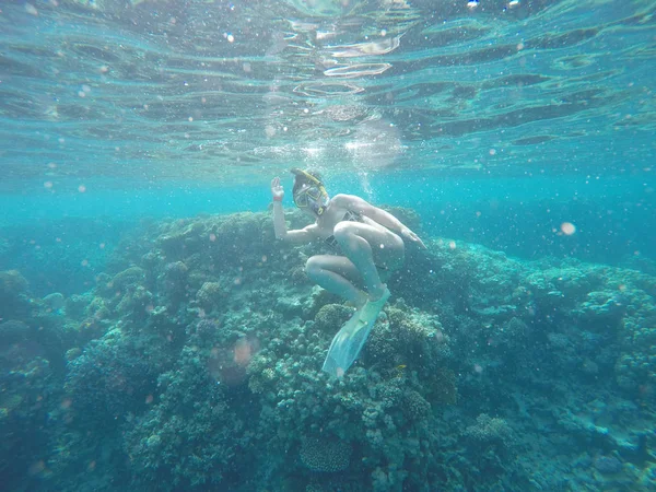 Beautiful girl. Girl under the water of the red sea