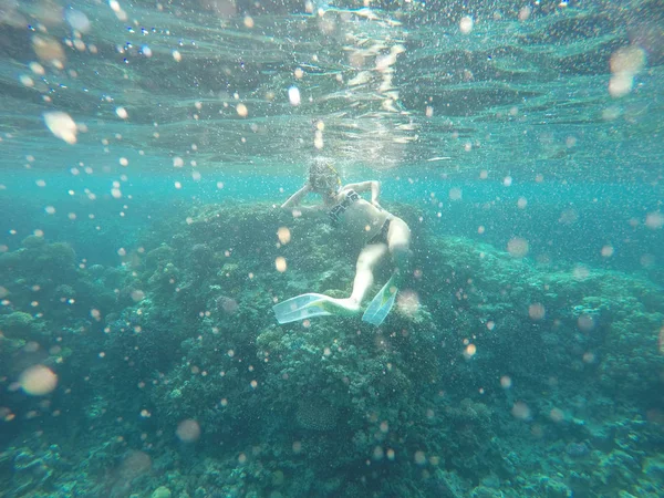 Beautiful girl. Girl under the water of the red sea