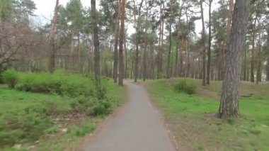 Yeşil park yavaş hareket yolu ile. Ağır çekim