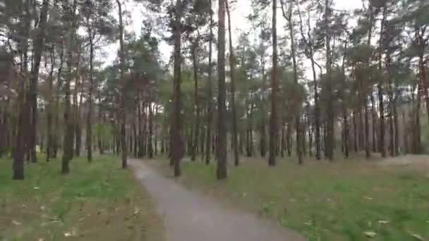 Parco verde con un percorso di giri nel tempo. Giri temporali — Video Stock