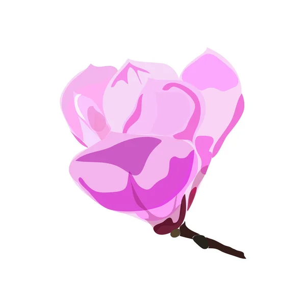 Květ magnolie, samostatný — Stockový vektor
