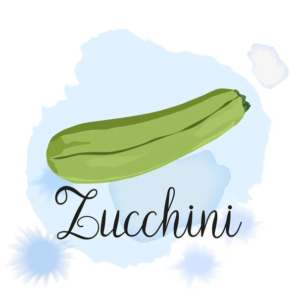 Zucchine disegnate a mano — Vettoriale Stock