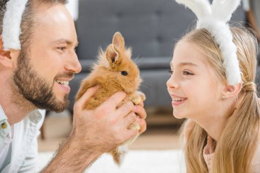 Father and daughter playing with rabbit  clipart