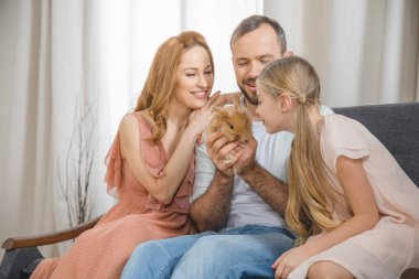 Tavşan ile mutlu aile