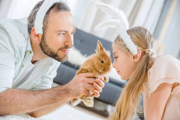 Отец и дочь играют с кроликом — стоковое фото