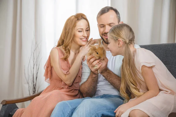Happy family with rabbit — Stock Photo, Image
