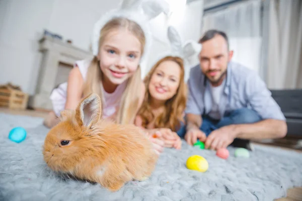 Familie spielt mit Kaninchen — Stockfoto