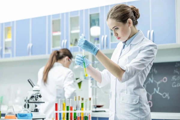 Vrouwelijke wetenschappers in een lab — Stockfoto