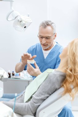 dentist showing jaws model clipart