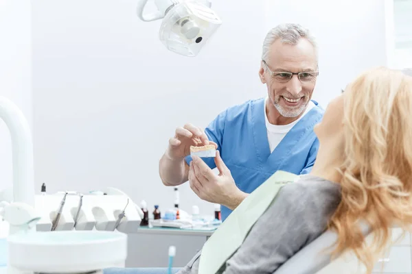 Dentista che mostra modello mascelle — Foto Stock