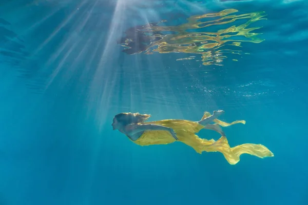 Підводне Зображення Привабливої Молодої Жінки Платті Плаває Басейні — стокове фото