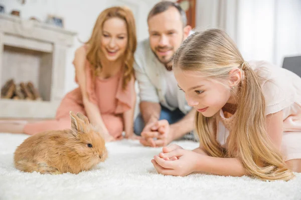 Família feliz com coelho — Fotografia de Stock
