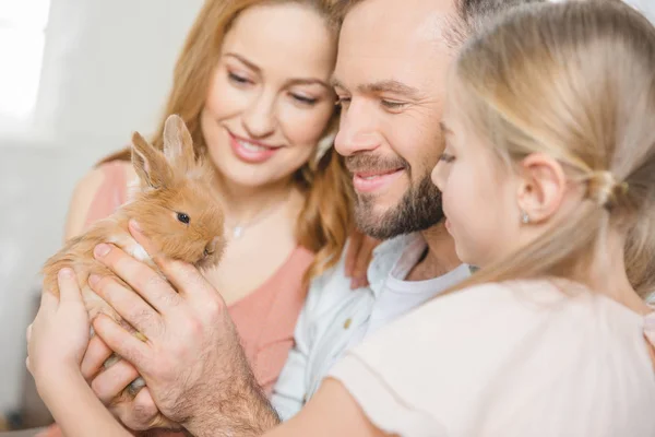 Happy family with rabbit — Stock Photo
