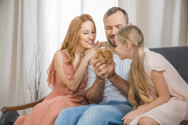 Familia feliz con conejo - foto de stock