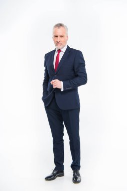 Handsome mature businessman 