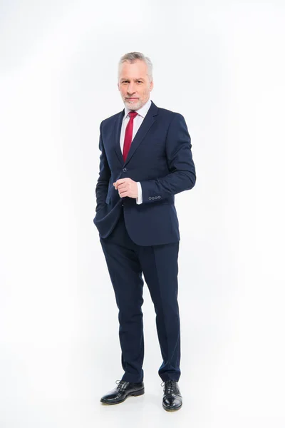 Handsome mature businessman — Stockfoto