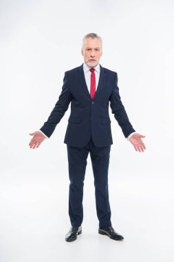 karışık olgun işadamı