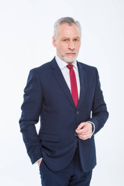 Handsome mature businessman  