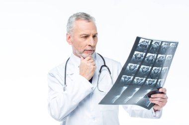 Doctor looking at x-ray  clipart