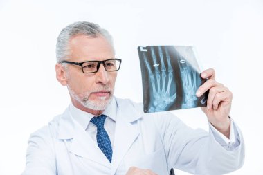 Doctor examining x-ray image clipart