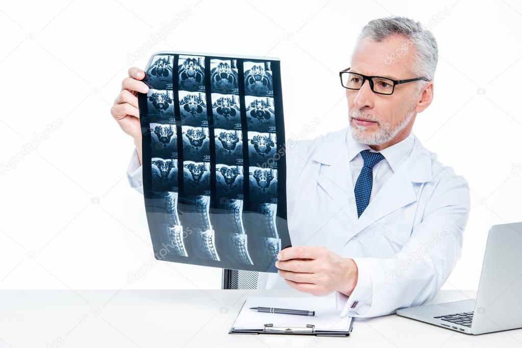 Doctor examining x-ray image