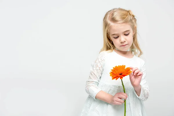 Menina com flor de gerbera — Fotografia de Stock