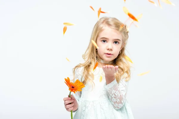 Dívka s květinou gerbera — Stock fotografie
