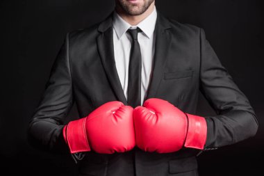 Businessman in boxing gloves