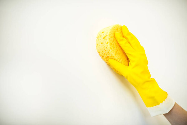 Woman cleaning wall