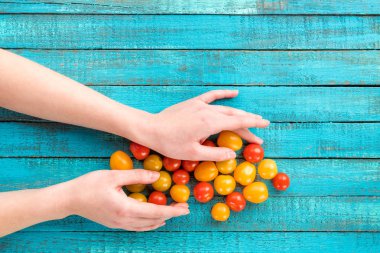 hands holding cherry-tomatoes clipart