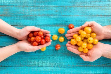 hands holding cherry-tomatoes clipart
