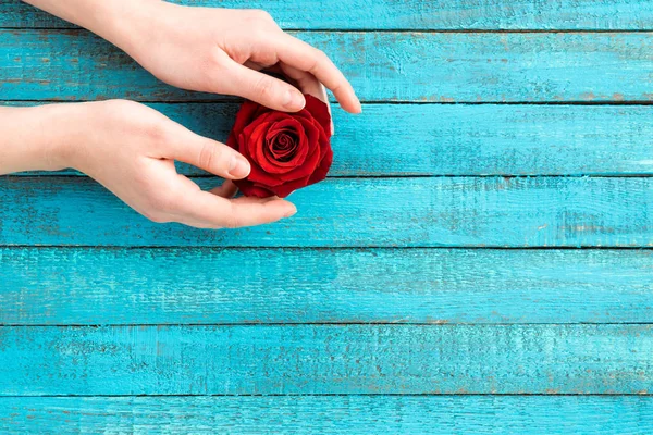 Mãos segurando rosa — Fotografia de Stock