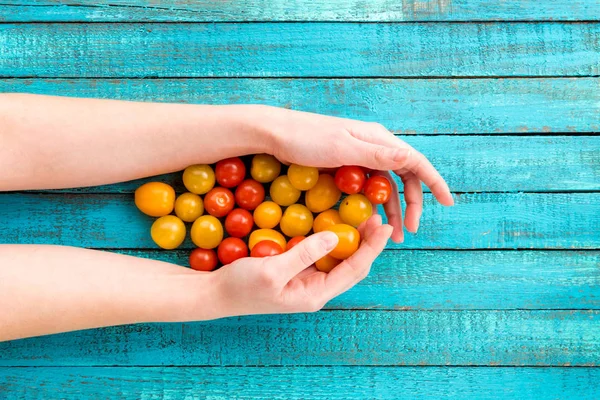 Mãos que mantêm tomates cereja — Fotografia de Stock