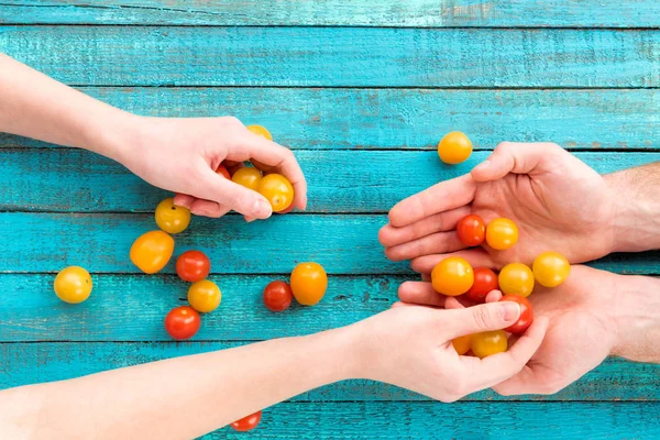 Female putting cherry-tomatoes in hands — Stock Photo, Image